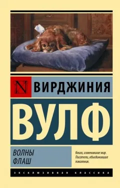 Флаш